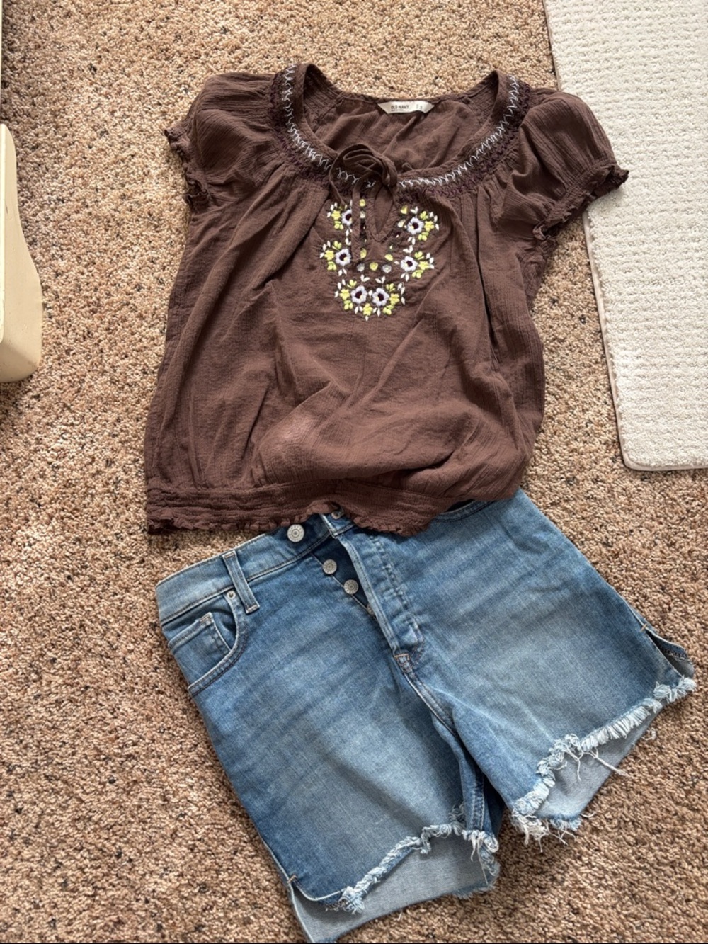 Express Brown Embroidered Puff Sleeve Blouse